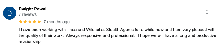 Stealth Agents Review